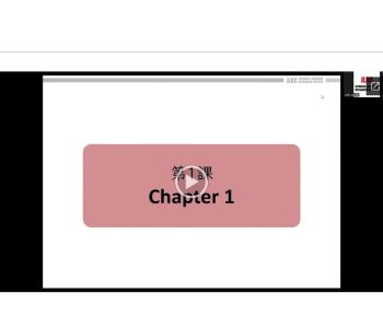Video Image